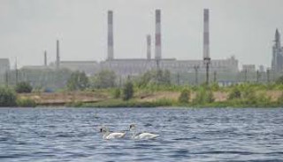Расчет платы за негативное воздействие на окружающую среду от 20896 руб. | ПромМир
