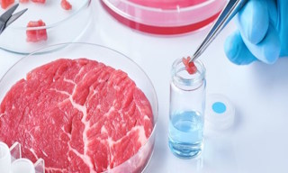 Лабораторный анализ пищевых продуктов по СанПиН в Балахне в октябре