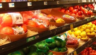 Сертификация пищевой продукции в Балахне – цена от 10448 руб. | ПромМир