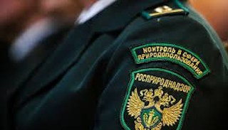 Подготовка к проверке Росприроднадзора в Балахне от ПромМир, стоимость услуги от 20896 руб.